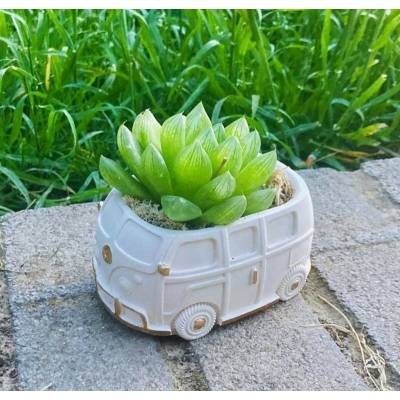 Διακοσμητικό φορτηγάκι με παχύφυτο | Χειροποίητο δώρο – V by V