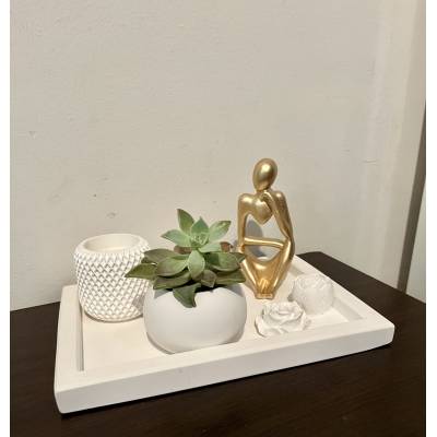 Παχύφυτο σε χειροποίητο κασπώ | Διακοσμητικό φυτού