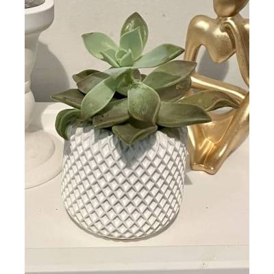 Βάζακι Διακόσμησης – Κερί ή Φυτό με Ανάγλυφη Υφή