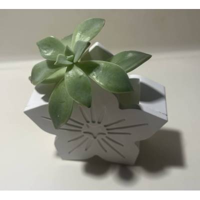 Διακοσμητικό Λουλούδι από Ρητίνη Πορσελάνης | Minimal Χειροποίητο