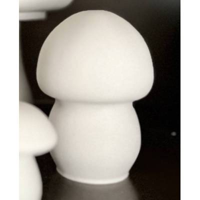 Μανιτάρι μεσαίο